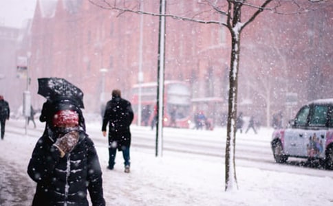 �����Lѩ������