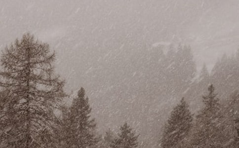 試駕幾天東風(fēng)雪鐵龍凱旋的體會(huì)