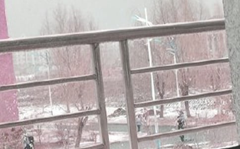 必修五《林教頭風(fēng)雪山神廟》教案