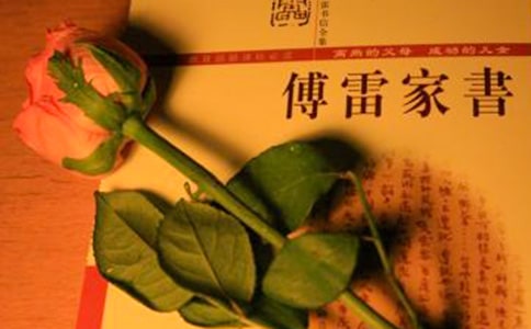 《傅雷家書》讀后感常用(15篇)