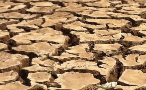 干旱區(qū)綠洲農業(yè)生態(tài)經濟系統(tǒng)結構與功能分析--以塔克拉瑪干沙漠南緣的墨玉縣為例