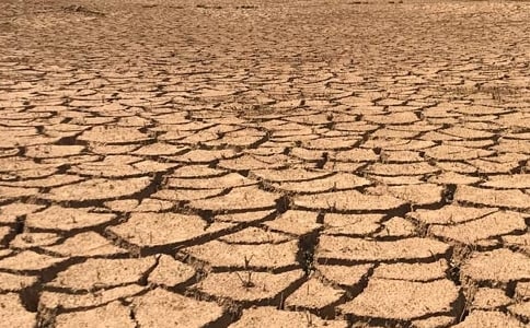 作物水分虧缺指數(shù)在農(nóng)業(yè)干旱監(jiān)測中的適用性