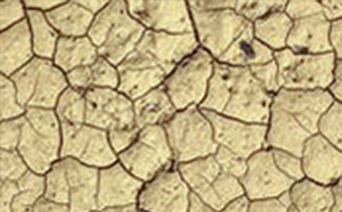 世界防止荒漠化和干旱日主題活動(dòng)