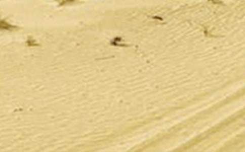 1995-2005年中國干旱區(qū)研究發(fā)展態(tài)勢及學(xué)術(shù)影響力分析