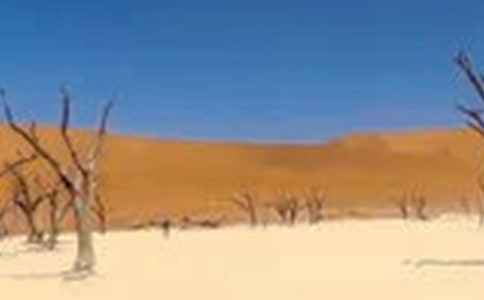 �P(gu��n)�ڸɺ������ģ��������һֻ�B������(z��i)���룩