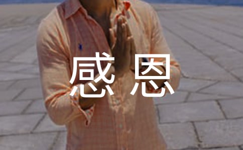 感恩活動心得體會