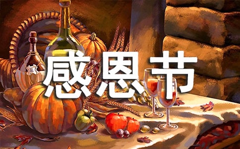 幼兒園感恩節(jié)活動(dòng)方案(集合15篇)