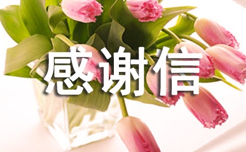 【必備】感謝信作文合集五篇