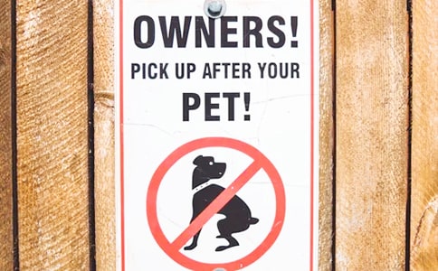 ���й����