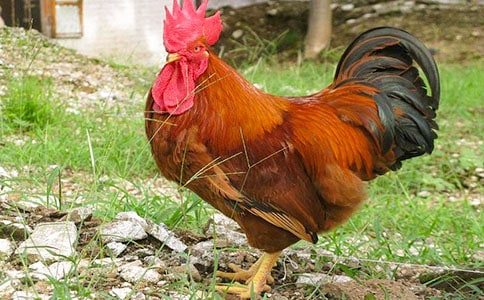 ���u���������(y��u)������