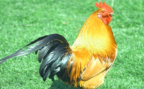 ���u����