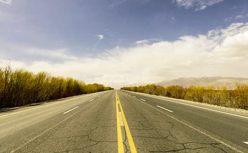 ��·��ѩ����ͨ��20ƪ��