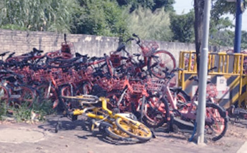 共享單車(chē)的自述作文600字