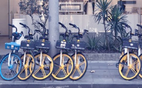 共享單車的自述想象作文