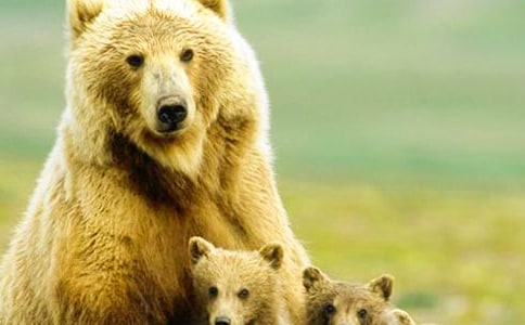 ����������