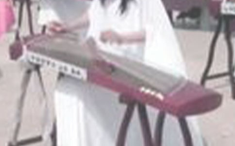 我學(xué)會了彈古箏作文