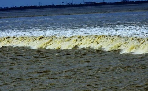 四年級觀潮教學(xué)設(shè)計