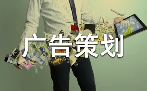 廣告策劃書的撰寫之國內(nèi)的代表主張