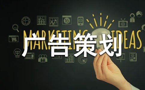 網(wǎng)絡(luò)廣告策劃書