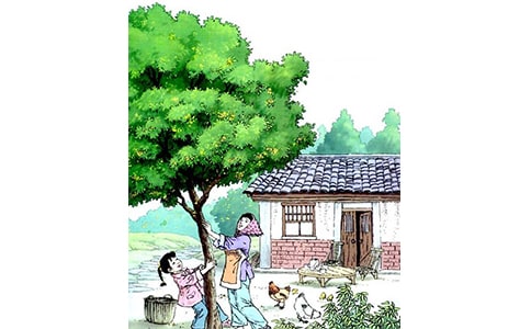 �Z�ġ����꡷��(y��u)��̰�