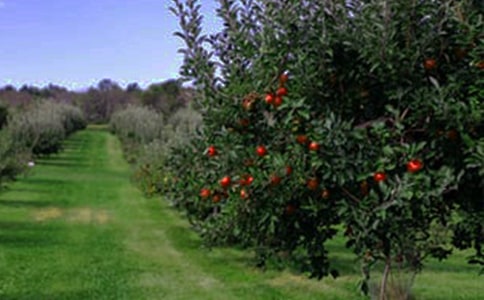 �����@������300��