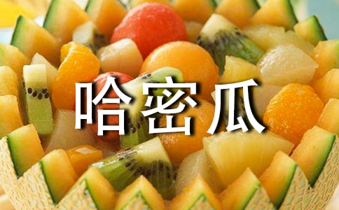 哈密瓜作文