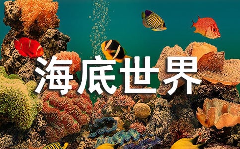 ���u�������猧���~11ƪ