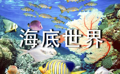 中班海底世界教案