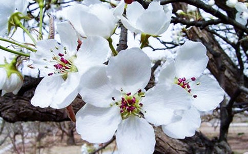 ��������500��[���x10ƪ]