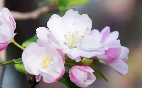 ���P(gu��n)��������500���\����ƪ