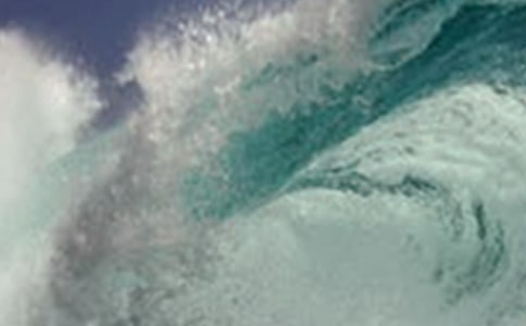 ���[��(l��i)�R_800��