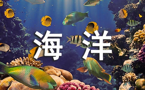 海洋中藥心得體會及收獲優(yōu)秀(通用11篇)