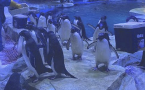 ����ۺ��󹫈@1200��