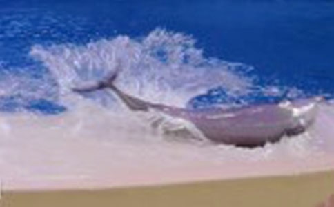 �����������^���