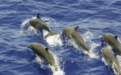 �����ࡷ������g(sh��)�̰�