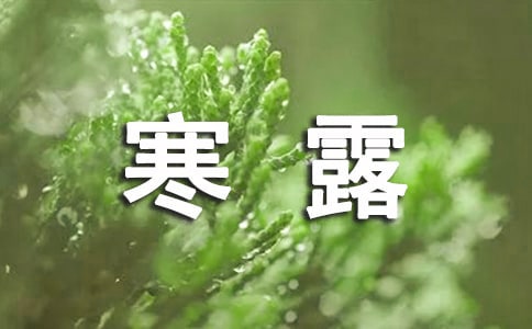 關(guān)于寒露的句子