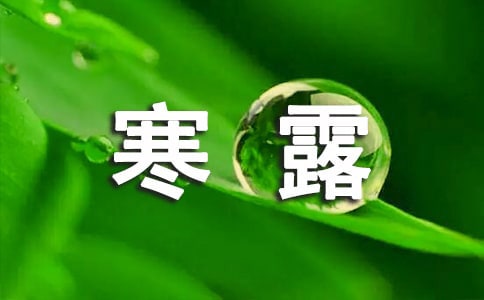 表達(dá)寒露的句子