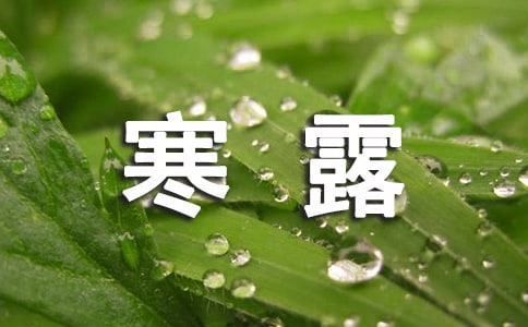 關(guān)于寒露的作文