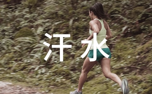 汗水+毅力=成功-六年級-記敘文