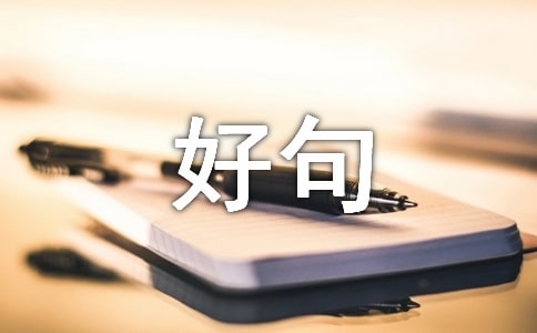 描寫(xiě)橋的好句子