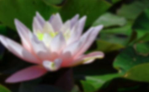 �ɻ�����