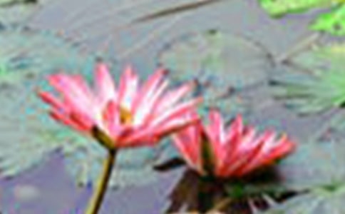 �P(gu��n)�ںɻ�������500���\��10ƪ