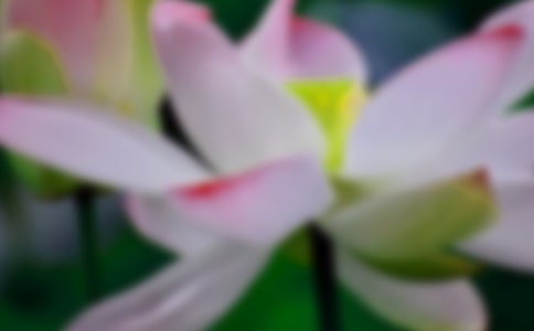 ���պɻ��o�޺�����