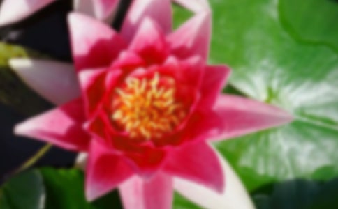 �ɻ�����