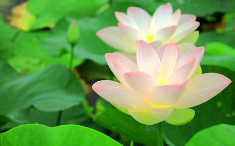 ����(y��u)���ɻ�������500��