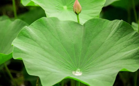 �n�ĺ��~�A�A�̰�����