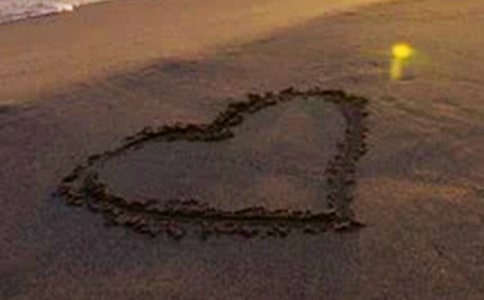 呼吁所有人珍愛和平的句子