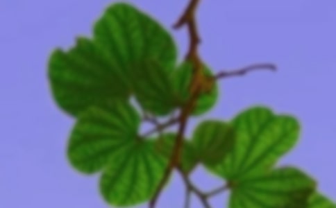 ���������C�����(hu��)���C�����}���x�Ї��˵����(hu��)����