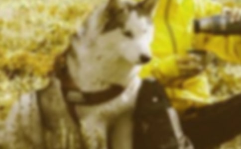 掌握良好醫(yī)患溝通技巧,構(gòu)建和諧醫(yī)患關(guān)系的調(diào)研報(bào)告