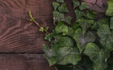 �P�ں��C֮����Ԓ�}�M������